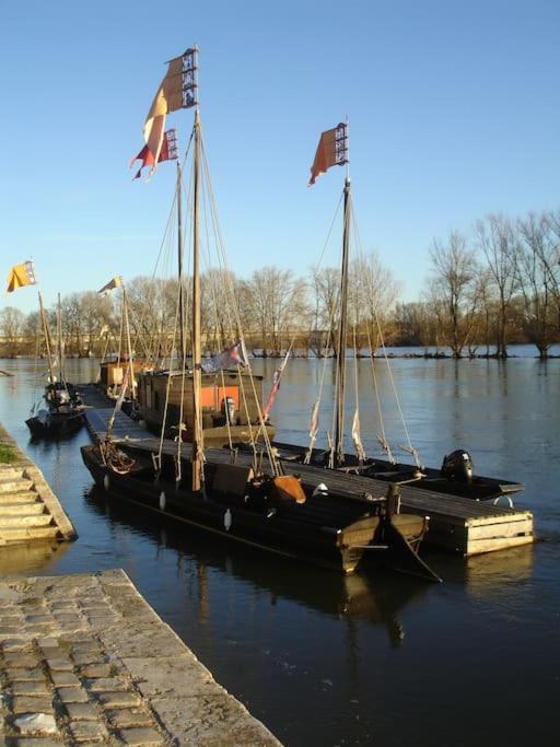 Appart Gite Les Oiseaux- Face Loire Quai Du Chatelet Orléans Kültér fotó
